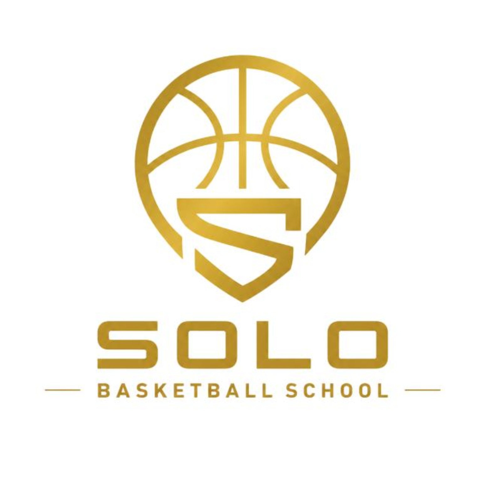 Logo Solo Basketball School
